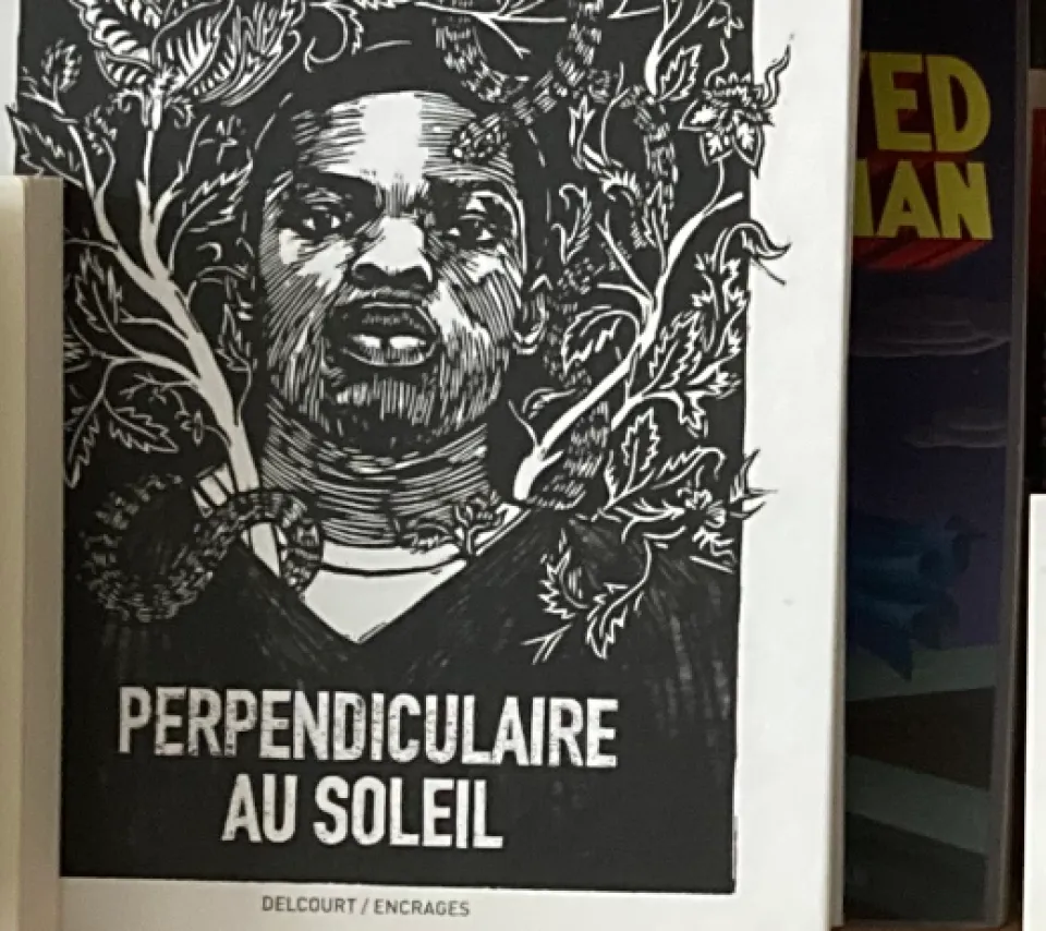 Livres et cartes indiquant : Repenser l'anarchisme, Tomás Ibañes ; Perpendiculaire au soleil ; La Fresque ; On s'en fout on crée pas des chefs d'œuvre ; Pour une continuité de revenus des artistes auteurices